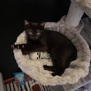 Meet your Posher, Makaylah